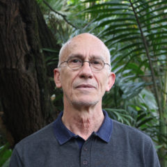Fernando Afonso Salla